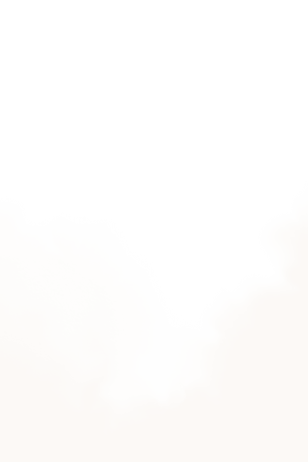 SDJ_1100