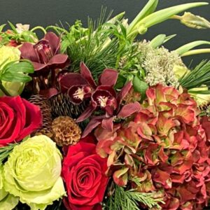 Winter Rhapsody-Designer's Choice