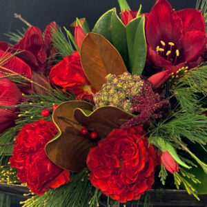 Winter Rhapsody-Crimson