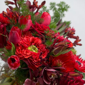 Sonata d'Amour-Rouge