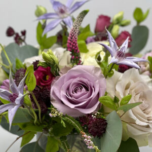 Sonata d'Amour-Violet