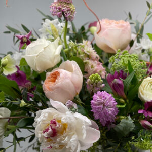 Sonata d'Amour-Designer's Choice